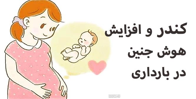 كندر و افزايش هوش جنين در بارداري